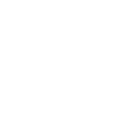 Phi Kite School