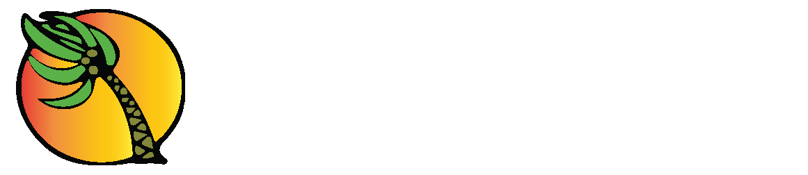 Phi Kite School
